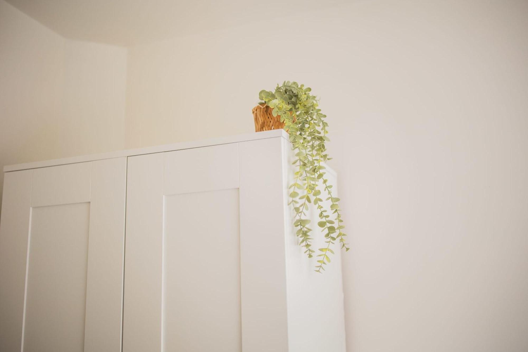 Amazing 50M2 Two-Bedroom Apartment - Ts307A Eindhoven Buitenkant foto